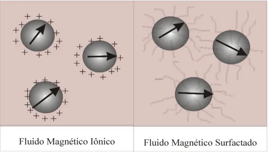 Figura 1.1: Representa¸c˜ao esquem´atica dos fluidos magn´eticos iˆonico e surfactado 2