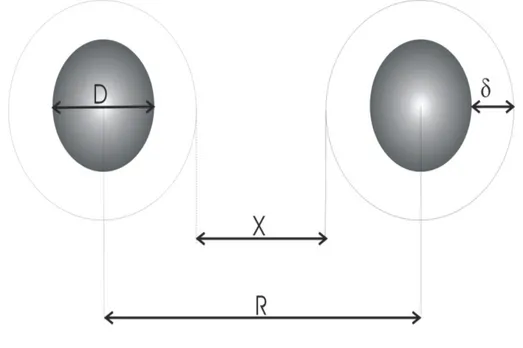 Figura 1.4: Representa¸c˜ao esquem´atica de duas part´ıculas magn´eticas dentro de um l´ıquido carreador: a espessura da camada protetora ´e δ (camada iˆonica e/ou molecular), X ´e a distˆancia superf´ıcie - superf´ıcie das part´ıculas e R ´e a distˆancia 