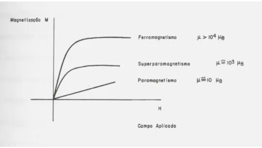 Figura 1.7: Representa¸c˜ao qualitativa da magnetiza¸c˜ao de materiais ferromagn´eticos, superpa- superpa-ramagn´eticos e pasuperpa-ramagn´eticos quando um campo magn´etico ´e aplicado sobre eles.