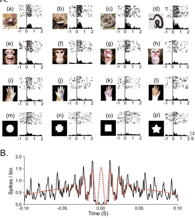 Figure 1.  An example of a pulvinar neuron that responded most strongly to snakes. (A, a–l)