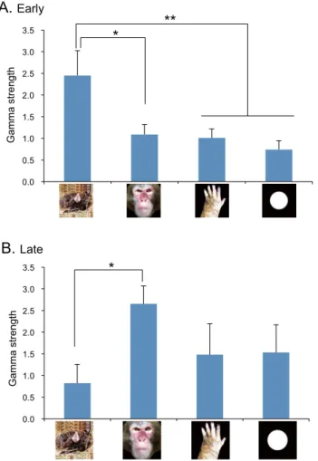 Figure 4.  Comparison of gamma strength among the four categories of the stimuli in Early phase (A) and  Late phase (B)
