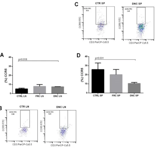 Figura 13. Expressão do receptor de quimiocina CCR5 nos linfócitos alogênicos após co-cultivo com  FRCs  e  DNCs
