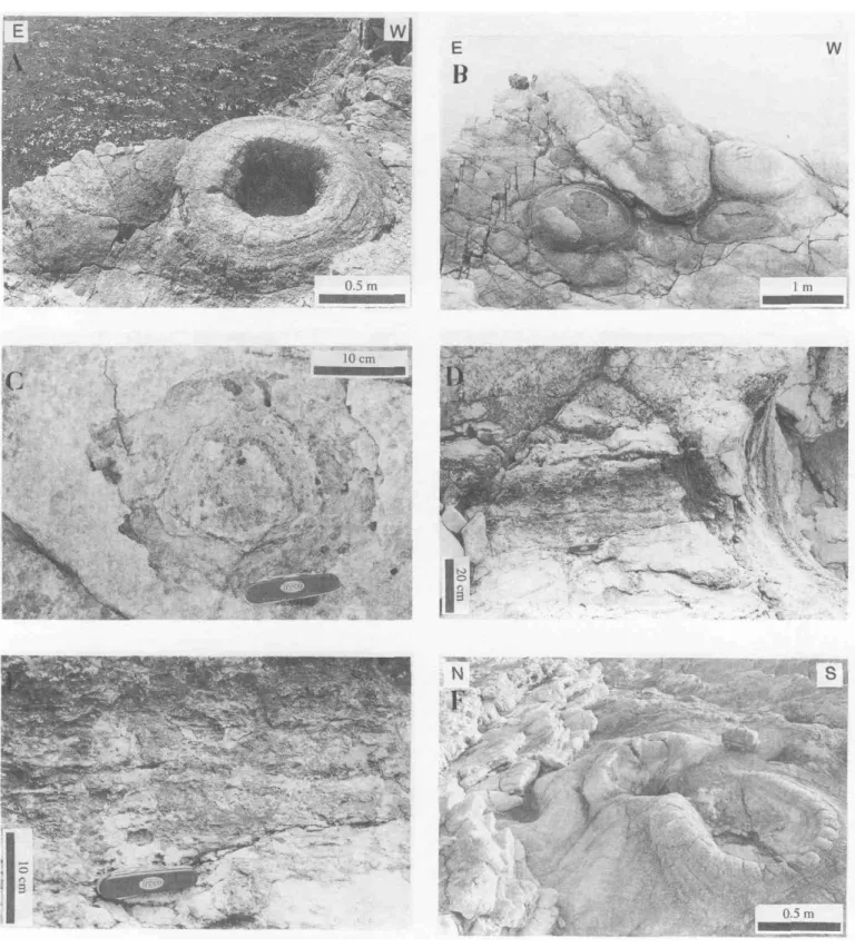 Figure 2 a-f: Typical mushrooms of structural level L2. The one in (a) displays a circular geometry with a totally empty neck perpendicular to the beds