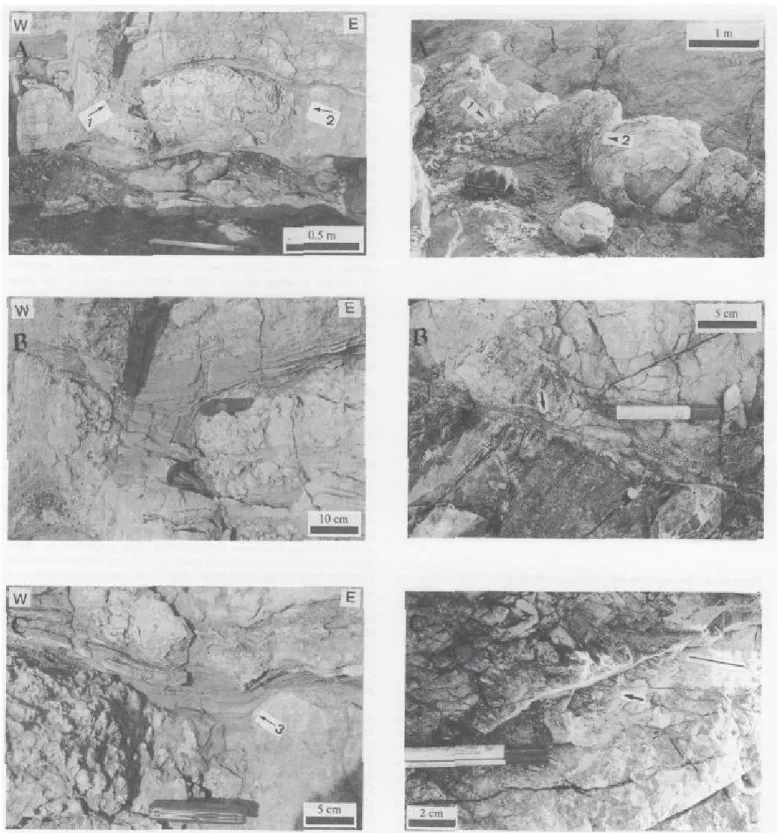 Figure 4 a-c : Progressive evolution of mushrooms, (a) The photograph shows  the southern external wall of a mushroom that remains entirely preserved  within the layers, to the north