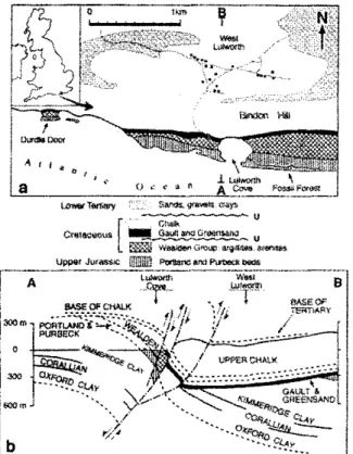 Figure 1 a-b : Simplified geology of the surroundings of West Lulworth, in  southern England (inset), highlighting the site of the Fossil Forest outcrop, to  the east of Lulworth Cove (a), A simplified cross section across the Lulworth  Cove and West Lulwo