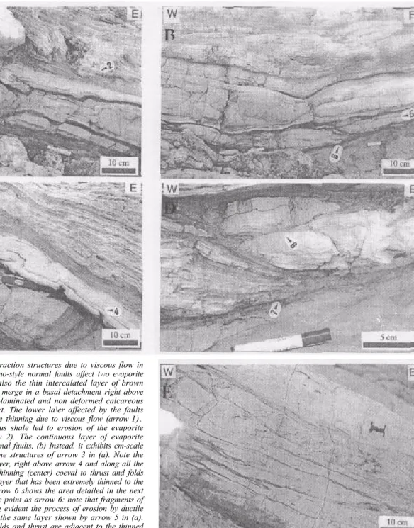 Figure 6 a-d : Extension and contraction structures due to viscous flow in  level L3. (a) The 10 cm-scale domino-style normal faults affect two evaporite  layers (above the white pen) and also the thin intercalated layer of brown  calcareous shale