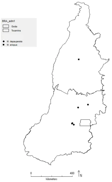 Figura 12: Distribuição geográfica de Myrcia depauperata e M. eriopus nos estados de Goiás e Tocantins 