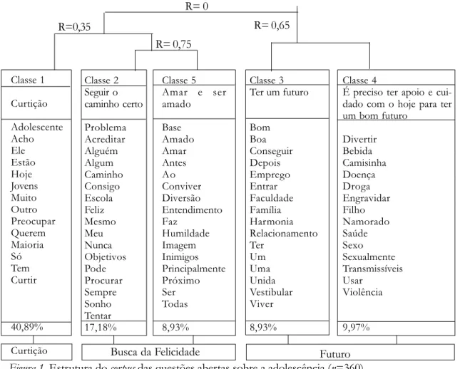 Figura 1. Estrutura do corpus das questões abertas sobre a adolescência (n=360).