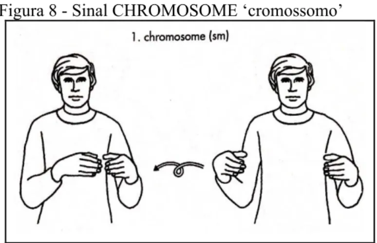 Figura 8 - Sinal CHROMOSOME ‘cromossomo’ 