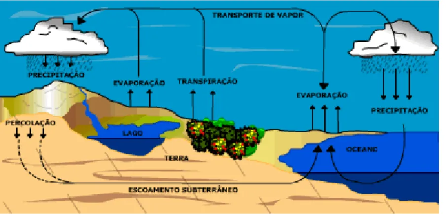 Figura 1  –  Ciclo hidrológico, com suas diversas etapas. 