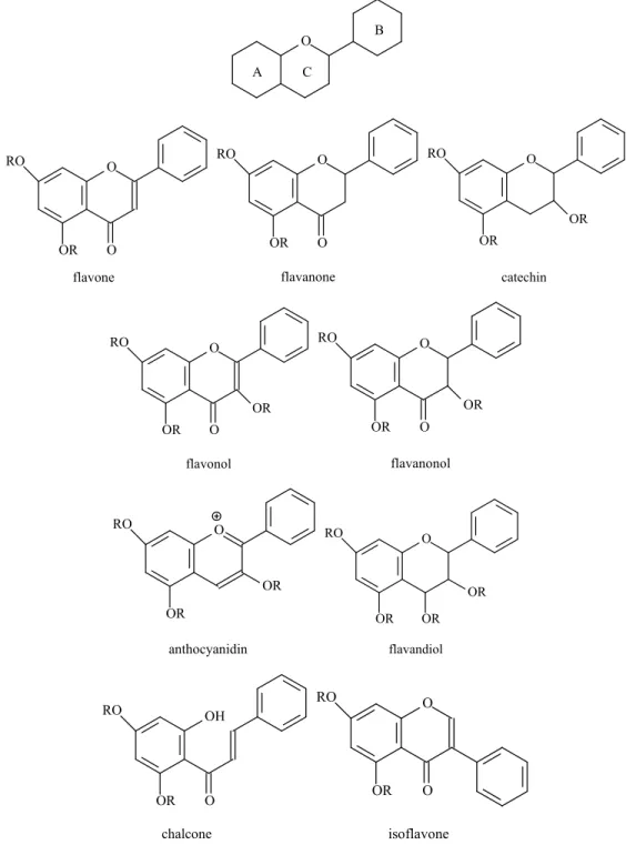 Figure 1. Flavonoids basic skeletons