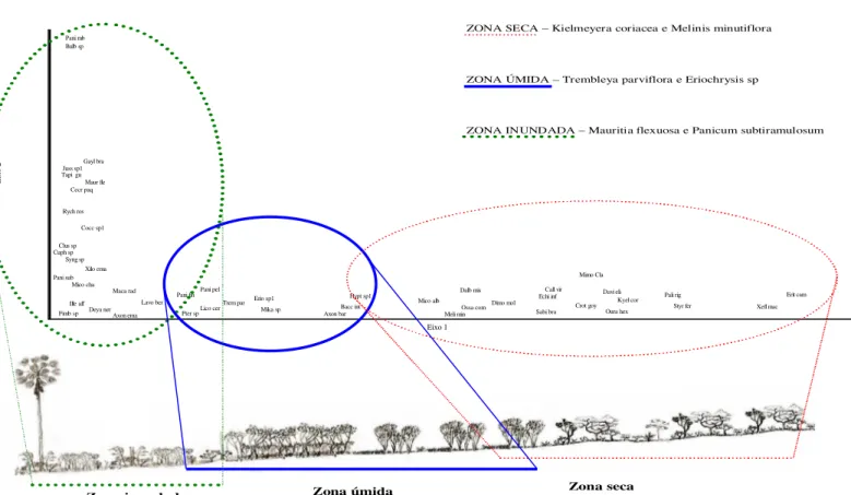 Figura 7. Diagrama de ordenação das espécies em dois eixos. Abaixo: perfil do gradiente mostrando as zonas correspondentes aos agrupamentos destacados nos eixos de ordenação