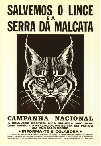 Figure 3.1: LPN launched a campaign in 1979 against eucalyptus expansion in an area inhabited by the Iberian Lynx.