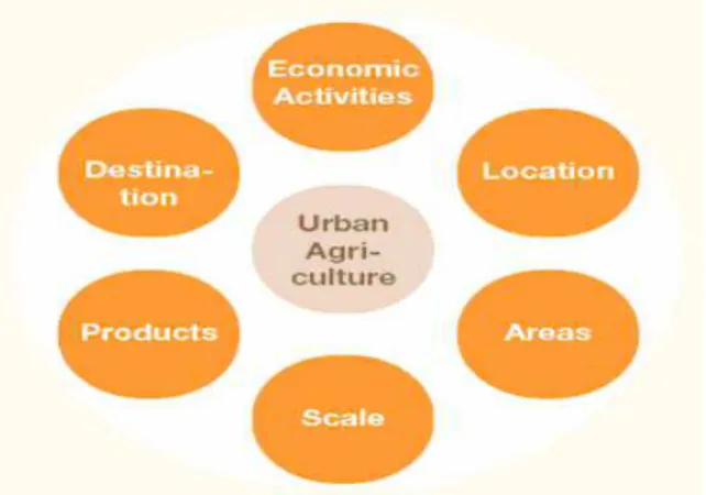 Figura 2.8  –  Aspectos mais comuns para a definição de Agricultura Urbana, (Mougeot, 2000)