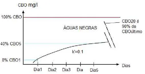 Figura 2.3 – Taxa de decomposição das águas negras (Olson, 1967) 