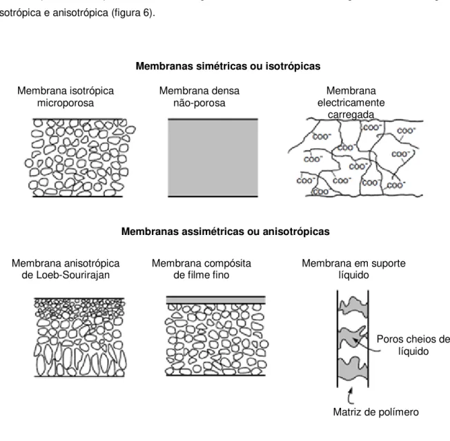 Figura 6. Representações esquemáticas dos principais tipos  morfológicos de membranas (Baker, 2004)