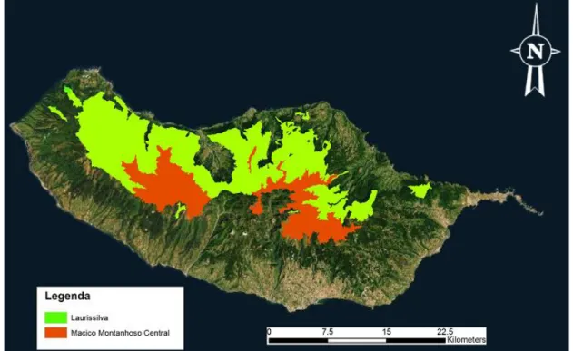 Figura 9. Floresta Laurissilva e Maciço Montanhoso Central  –  Fonte: Atlas Digital do Ambiente  –  Instituto do  Ambiente e World Imagery/Esri