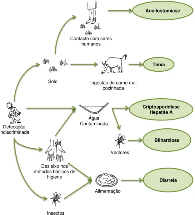 Figura 2.1 - Vias de transmissão e causas de doenças ambientais (adaptado de Harvey, 2007 )