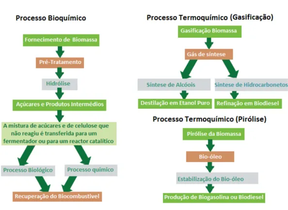 Figura 2.2 -Esquema dos processos de produção bioquímico e termoquímico. (Fonte: adaptado de [17];  [18])  