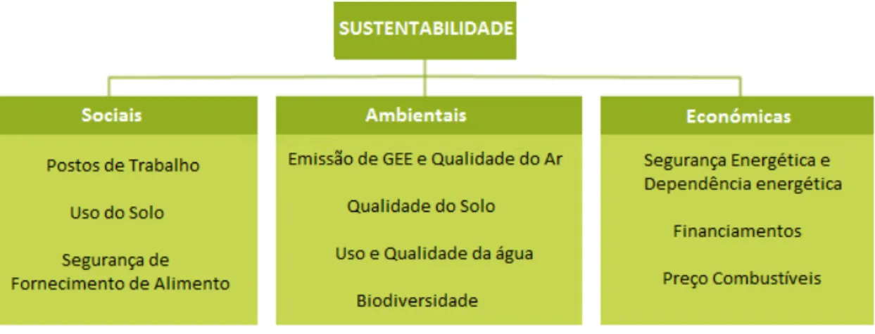 Figura 2.12 - Esquema com as questões relacionadas com a sustentabilidade dos biocombustíveis