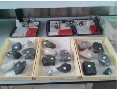 Figura 4.7 - Tabuleiros com rochas e minerais para a atividade de identificação. 