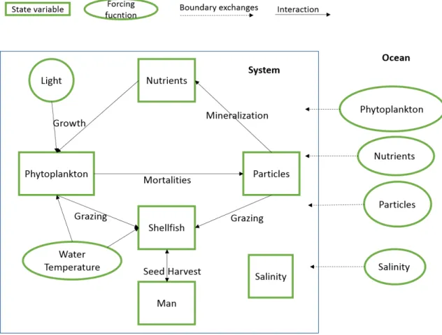 Figure 8  –  Conceptual model schematization. 