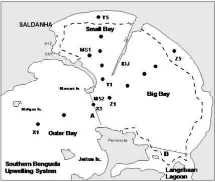 Figure  11  –  Sampling stations for particle  matter spatial distribution.  Source:(Monteiro and Largier, 1999) 