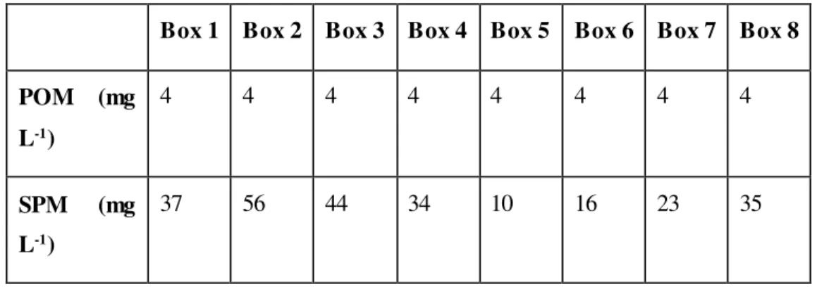 Table 5 – Initial  conditions for each box to POM and SPM 