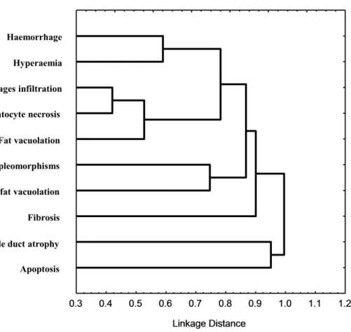 Fig. 4.5. Cluster analysis for all histopathological biomarkers observed. Distances are based on the 1-Pearson  correlation  statistic  r  between  condition  indices