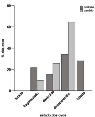 Figura 7 - Vestígios e a porcentagem dos ovos de codorna e de canário encontrados nos ninhos no solo,      após sete dias de exposição na ilha Anchieta, Sp, Brasil 