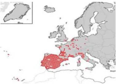 Figure 2.1 – Procambarus clarkii distribution in Europe 