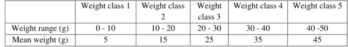 Table 3.2  –  Crayfish weight classes present in the model  Weight class 1  Weight class 