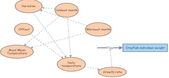 Figure 3.3– Individual growth model 