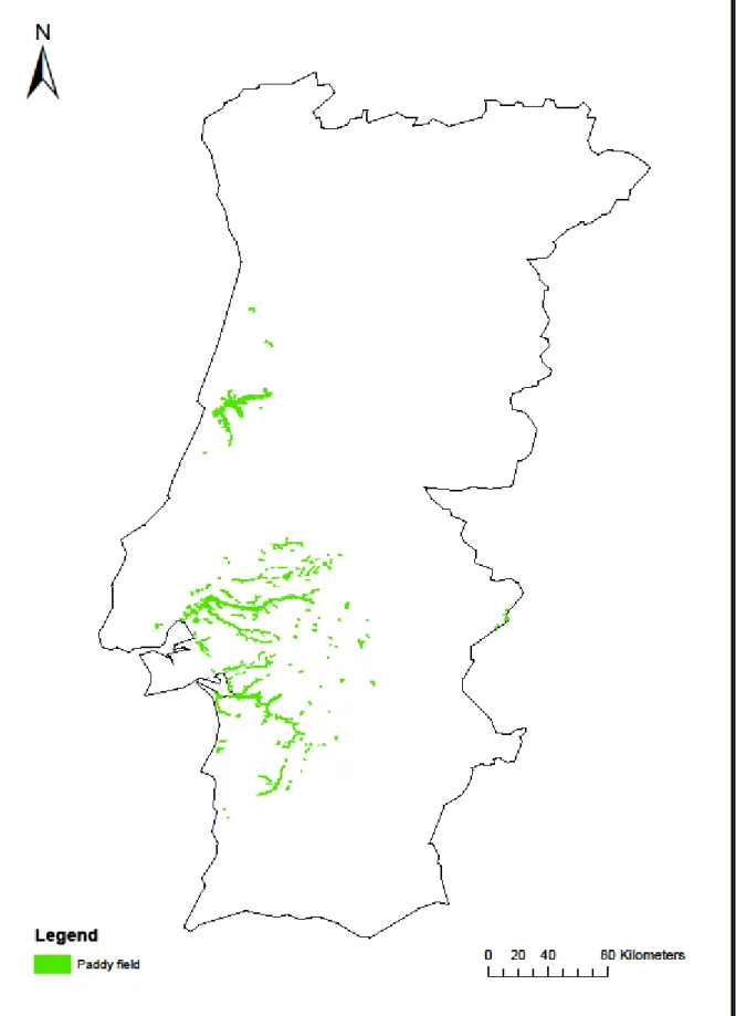 Figure 4.1 – Paddy fields identified in CLC 2006 