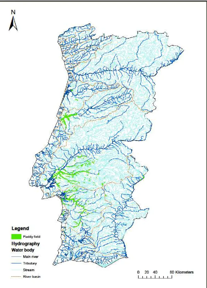 Figure 4.3 - Paddy fields identified in CLC 2006 and hydrography 