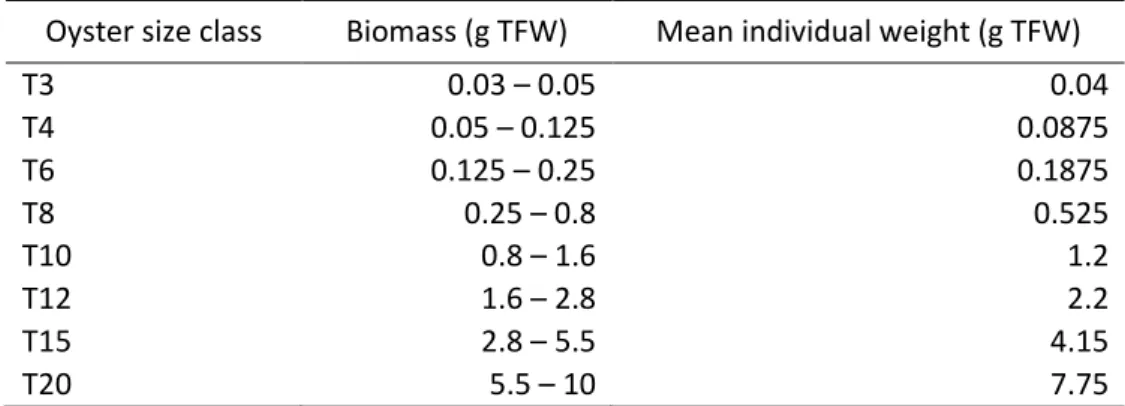 Table 2.1 - Biomass and mean individual weight of the commercial nursery oyster size class