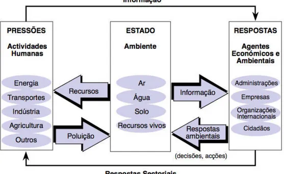 Figura 3.1 - Estrutura conceptual do modelo Pressão-Estado-Resposta proposto pela OCDE (SIDS  Portugal, 2000)