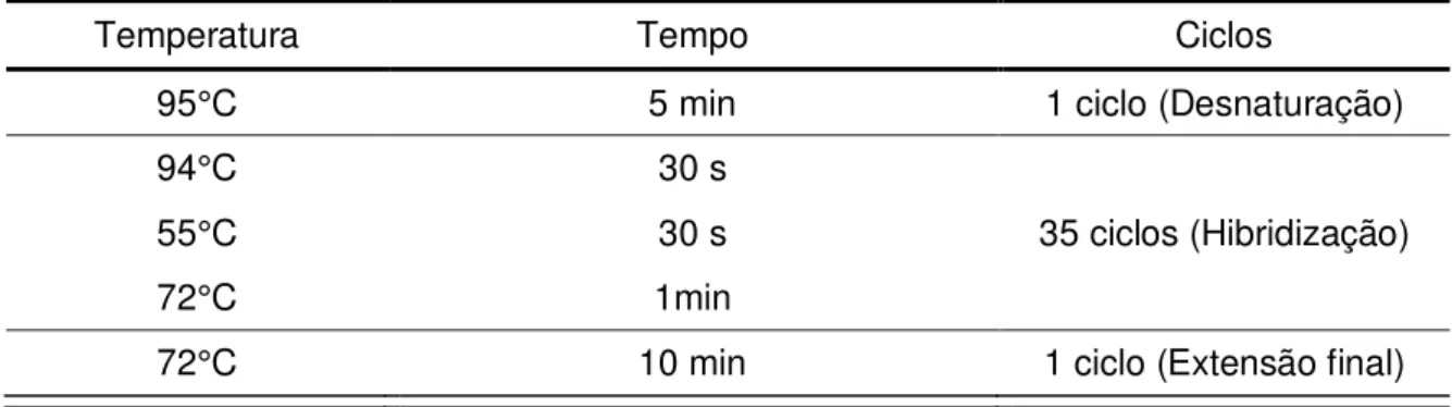 Tabela 4 – Condições de amplificação do TAstV-1 e ANV 