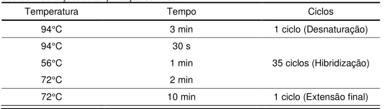 Tabela 5 – Condições de amplificação do TAstV-2 