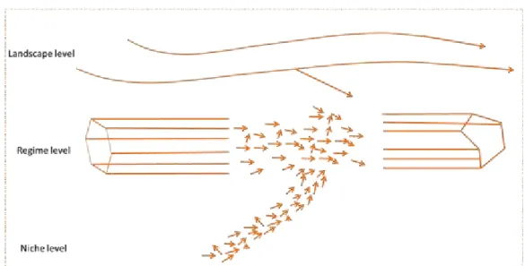 Figure 1.1. The MLP Perspective. Adapted from Geels (2011). 