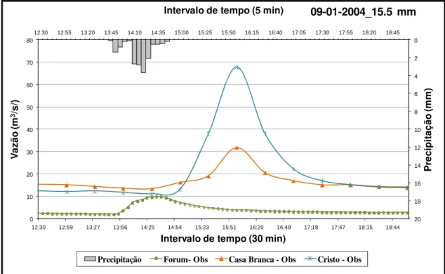 Figura 4-10 Precipitação observada e hidrogramas observados em função das  vazões, utilizados na modelagem