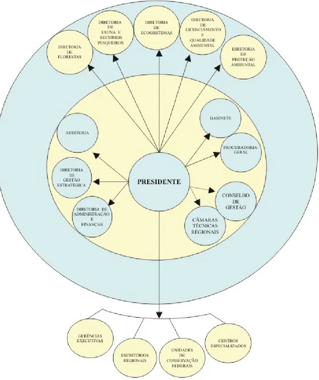 Figura 2: Estrutura organizacional do IBAMA (IBAMA, 2004).