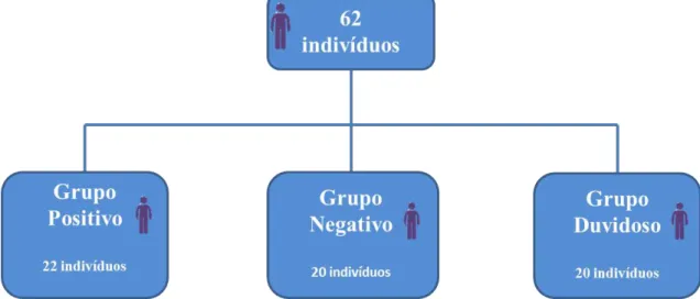 Figura  8.  Distribuição  dos  indivíduos  nos  grupos  de  estudo.  O  fluxograma  indica  a  quantidade  de  participantes em cada grupo: positivo, negativo e duvidoso
