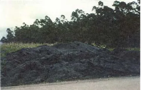 Figura 2.4 – Depósito de cinza da casca de arroz ao longo de estrada vicinal em Santa  Catarina 