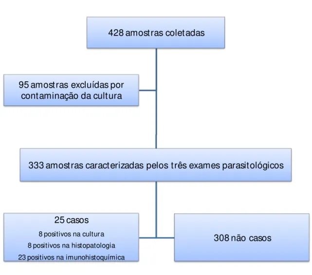 Figura 6. Fluxo dos animais utilizados para avaliação do teste imunocromatográfico rápido de duplo  percurso com amostra de soro desde a seleção até a definição de casos e não casos