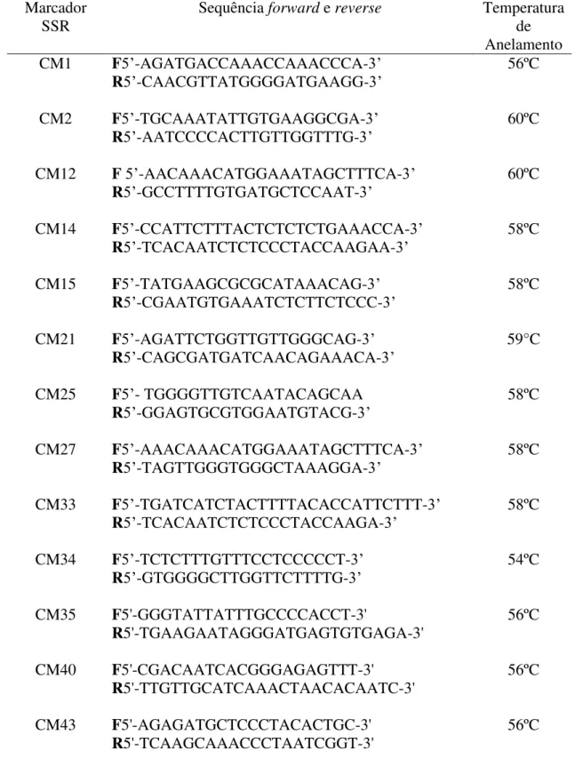 Tabela  3:  Lista  com  as  sequências  (forward  e  reverse)  e  temperaturas  de  anelamento  otimizadas  dos  primers  SSR  polimórficos  utilizados  para  as  reações  com  os  genótipos dos três tipos de melão analisados