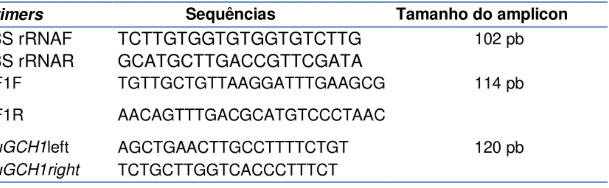 Tabela 4: Lista de primers utilizados na análise de qRT-PCR. 