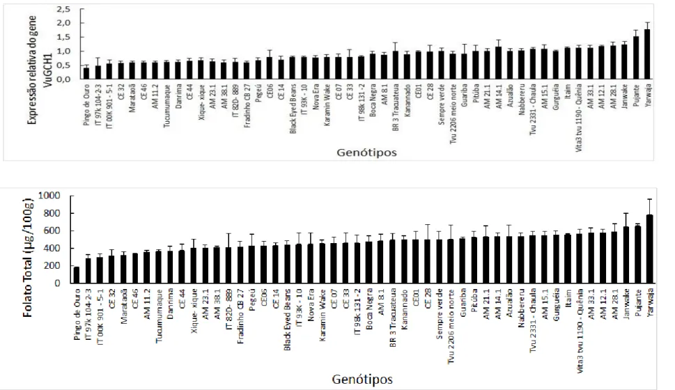 Figura 5: Expressão relativa do gene Vugch1 em sementes de 50 genótipos de feijão-caupi 20 dias após a antese (gráfico superior) e teores  de folatos totais em sementes maduras (gráfico inferior)
