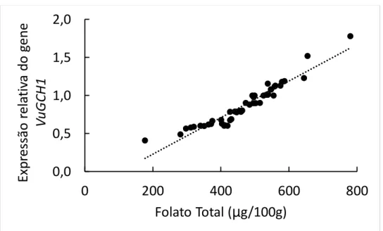 Figura  6:  Análise  da  correlação  entre  o  nível  de  expressão  do  gene  gch1  e  a  quantidade  de  folatos  totais  em  sementes  imaturas  com  20  dias  após  a  antese