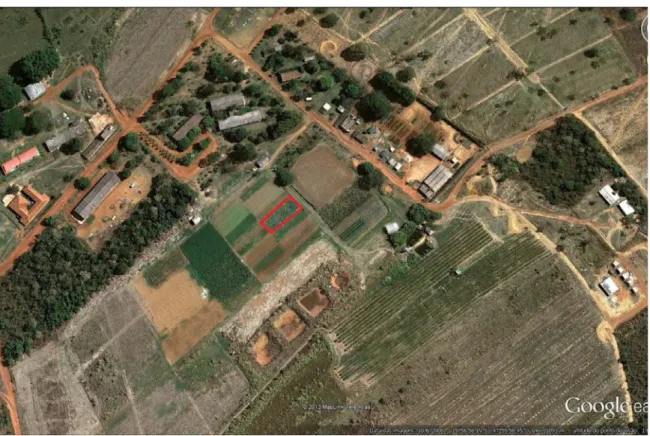 Foto 1 – Vista aérea da área experimental na Fazenda Água Limpa (FAL/UnB) 